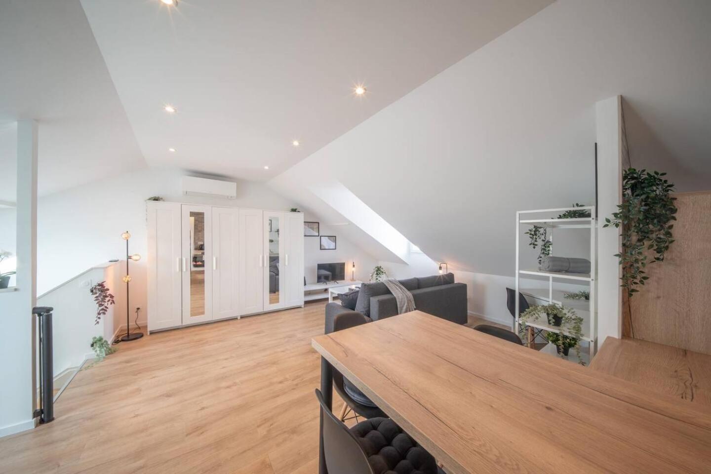 Superbe Appartement Climatise Parking Free Special Eurovision ミュルーズ エクステリア 写真